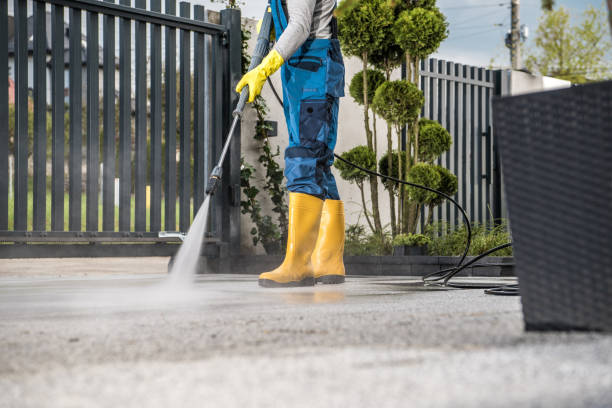 Best Roof Pressure Washing  in River Oaks, TX